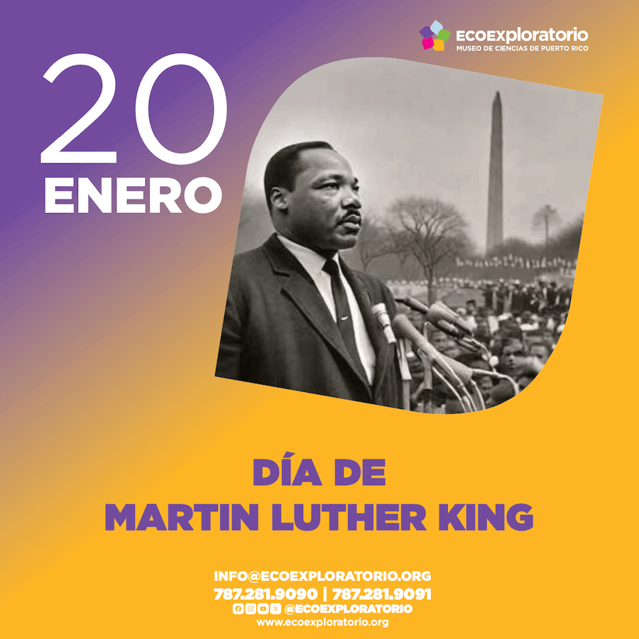 EcoExploratorio evento