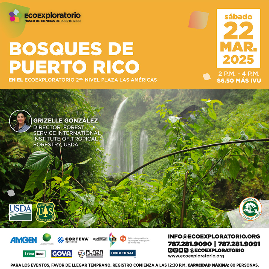 Evento marzo 2025