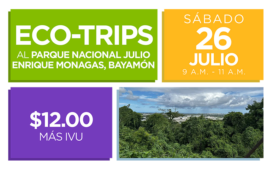 eventos julio 2025