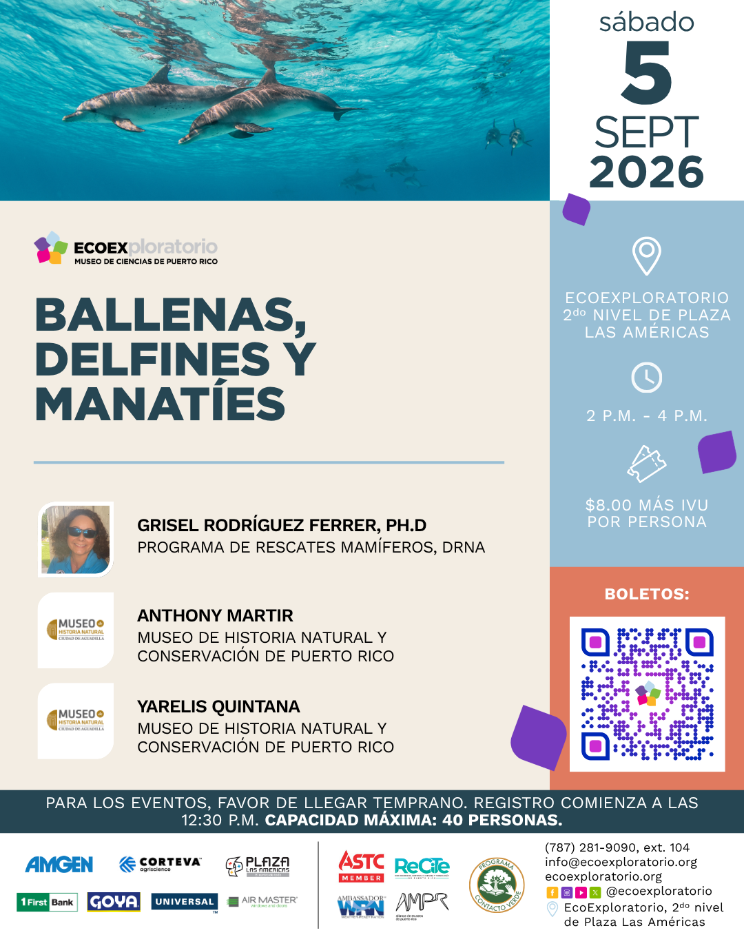 Ballenas, delfines y manatíes